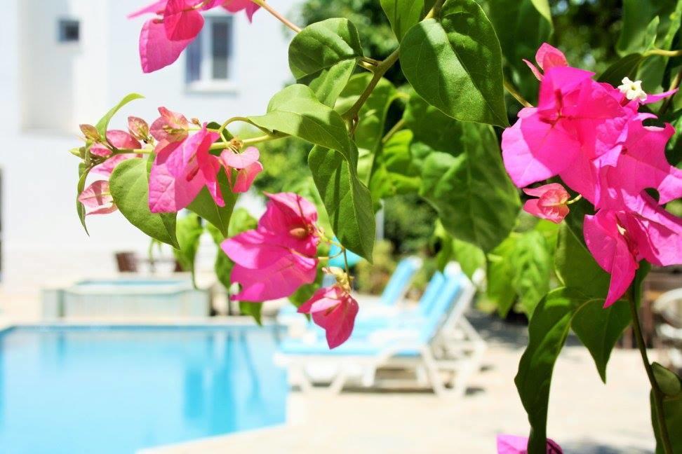 Parla Apart Hotel Çeşme Eksteriør billede